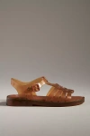 Melissa Possession Jelly Fisherman Sandals In Brown