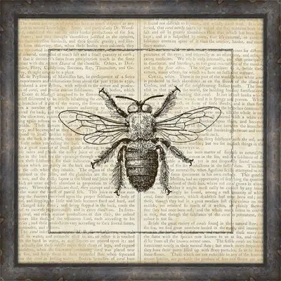 Melissa Van Hise 'bees On Writing Ii'- Pictrure Frame Print On Paper In Beige