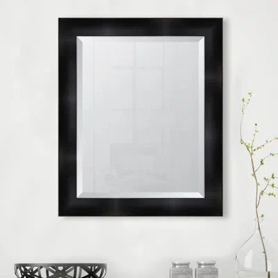Melissa Van Hise Black Resin Frame Wall Mirror