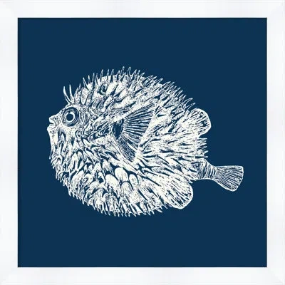 Melissa Van Hise 'blowfish In Blue Reverse' Framed Graphic Art Print In Blue;white