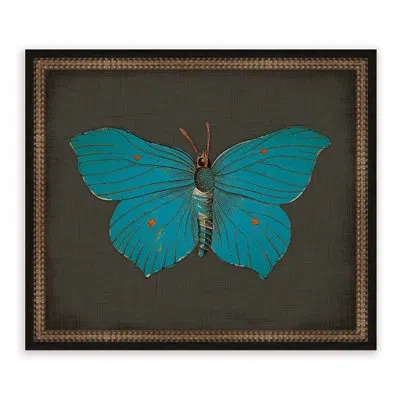 Melissa Van Hise Butterflies On Black Iii Framed Graphic Art In Blue;brown
