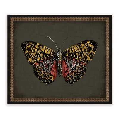 Melissa Van Hise Butterflies On Black Iv Framed Graphic Art In Black;gold
