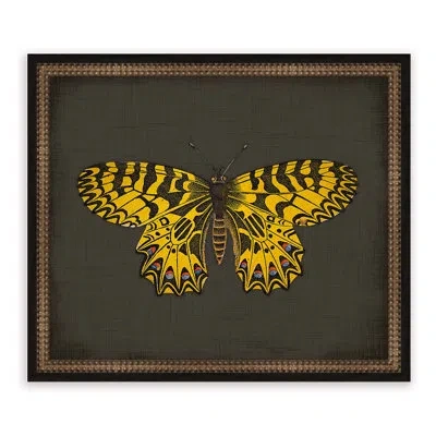 Melissa Van Hise Butterflies On Black Ix Framed Graphic Art In Brown;yellow