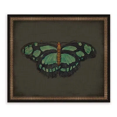 Melissa Van Hise 'butterflies On Black V' Picture Frame Graphic Art In Brown;green