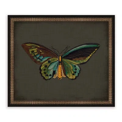 Melissa Van Hise Butterflies On Black Vi Framed Graphic Art In Blue;black;green