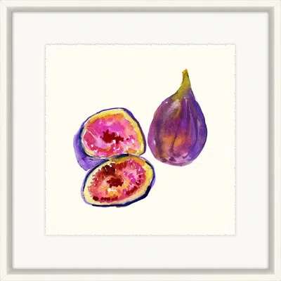 Melissa Van Hise 'fig' Framed Painting Print In Yellow;pink;purple
