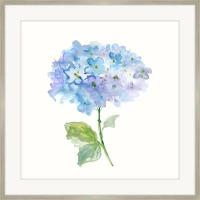 Melissa Van Hise 'hydrangea' Framed Painting Print In Blue;green;purple