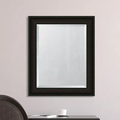 Melissa Van Hise Mahogany Rope Resin Frame Wall Mirror