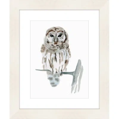 Melissa Van Hise 'owl' Framed Watercolor Painting Print In Gray