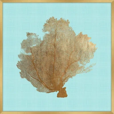 Melissa Van Hise 'sea Fan Iii' Framed Graphic Art Print In Blue;brown