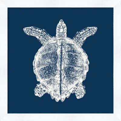 Melissa Van Hise 'turtle In Blue Reverse' Framed Graphic Art Print In Blue;white