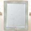 Melissa Van Hise Wall Mirror In Silver