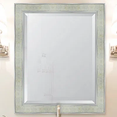 Melissa Van Hise Wall Mirror In Silver