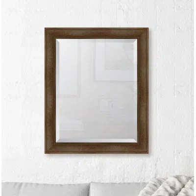 Melissa Van Hise Warm Walnut Wall Mirror