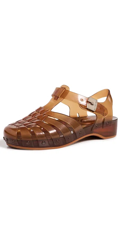 Melissa X Dr. Scholl Possession Pescura Jelly Sandals Clear Brown