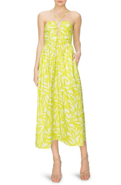 Melloday Print Poplin Sundress In Lime/ Ivory Print