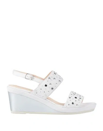 Melluso Woman Sandals Light Grey Size 8 Leather In Multi