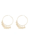 Melrose And Market Shakey Coin Charm Hoop Earrings In Gold