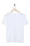 Melrose And Market Washed Cotton Crewneck T-shirt In White