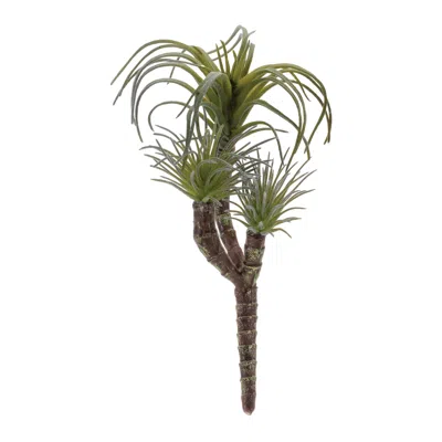 Melrose International Air Plant Succulent Pick (set Of 6) - Green