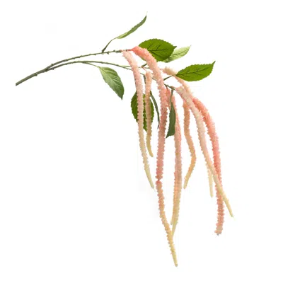 Melrose International Amaranthus Floral Stem (set Of 4) - Pink