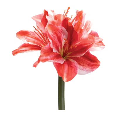 Melrose International Amaryllis Flower Stem (set Of 6) - Red, Pink