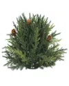 Melrose International Arborvitae Half Orb In Green