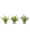 Melrose International Assorted Fern Plant In Grey Pot (set Of 3) In Green