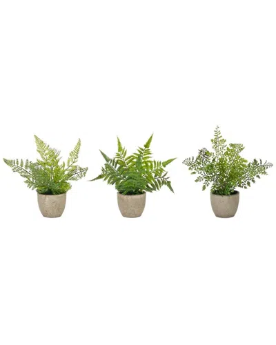 Melrose International Assorted Fern Plant In Grey Pot (set Of 3) In Green