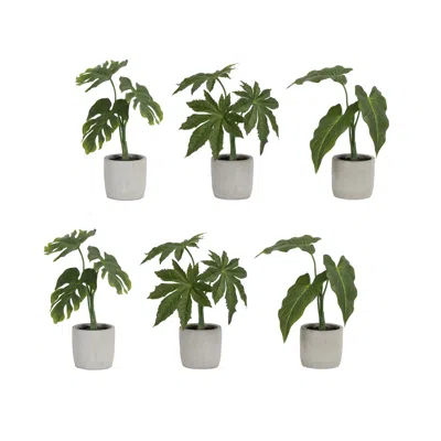 Melrose International Assorted Foliage Plant In Grey Pot (set Of 6) - Green, Brown, Grey