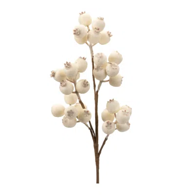 Melrose International Beaded Berry Spray (set Of 6) - Beige, Brown