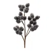Melrose International Beaded Berry Spray (set Of 6) - Blue, Brown