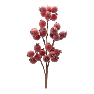 Melrose International Beaded Berry Spray (set Of 6) - Red, Brown