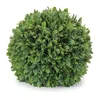 Melrose International Boxwood Foliage Orb (set Of 2) - Green