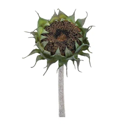 Melrose International Brown Sunflower Stem (set Of 6) - Black, Green