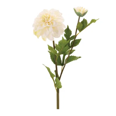 Melrose International Dahlia Flower Stem (set Of 6) - White, Green