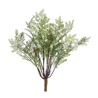 Melrose International Fern Bush (set Of 2) - Green, Brown