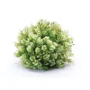 Melrose International Foliage Half Orb (set Of 2) - Green