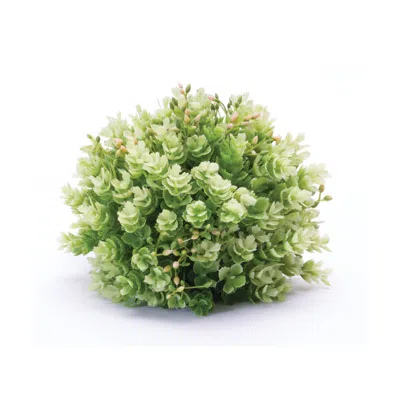 Melrose International Foliage Half Orb (set Of 2) - Green