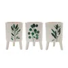 Melrose International Footed Foliage Print Planter (set Of 3) - White, Green