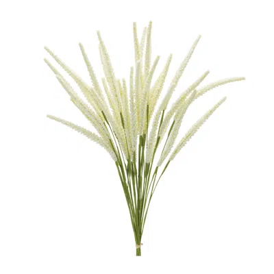 Melrose International Foxtail Bundle (set Of 6) - Green, White