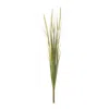 Melrose International Foxtail Bush (set Of 6) - Green, Tan