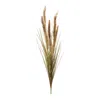 Melrose International Foxtail Grass Bush (set Of 6) - Beige, Brown