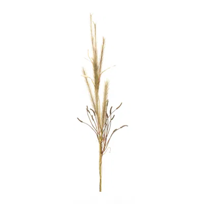 Melrose International Foxtail Grass Spray (set Of 2) - Brown