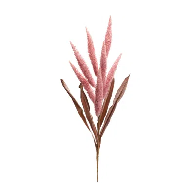 Melrose International Foxtail Plume Stem (set Of 2) - Pink