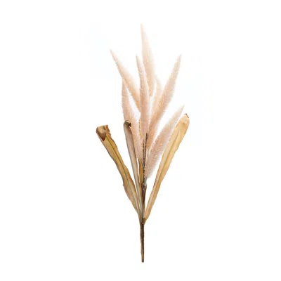 Melrose International Foxtail Plume Stem (set Of 2) - Pink, Beige