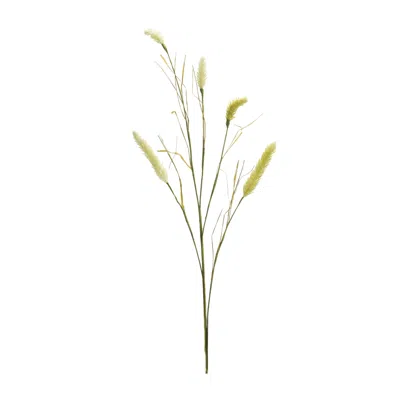 Melrose International Foxtail Spray (set Of 6) - Green