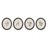 Melrose International Framed Bird Print (set Of 4) - Beige, Black In Neutral