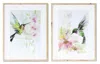 Melrose International Framed Hummingbird Print (set Of 2) - Green, Pink