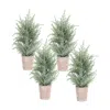 Melrose International Frosted Holiday Pine Tree In Paper Pot (set Of 4) - Green, White